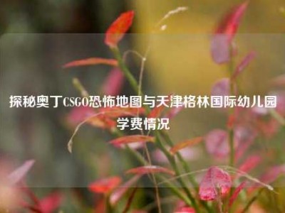 探秘奥丁CSGO恐怖地图与天津格林国际幼儿园学费情况
