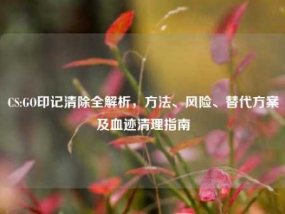 CS:GO印记清除全解析，方法、风险、替代方案及血迹清理指南