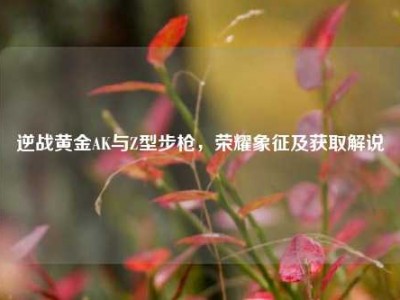 逆战黄金AK与Z型步枪，荣耀象征及获取解说