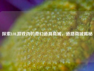 探索LOL游戏内的奇幻道具商城，道路商城揭秘