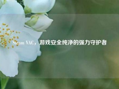 Steam VAC，游戏安全纯净的强力守护者