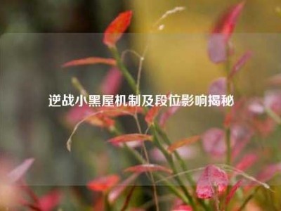逆战小黑屋机制及段位影响揭秘