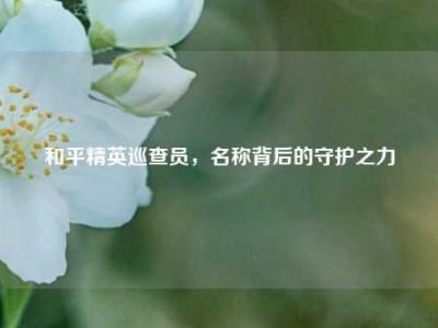 和平精英巡查员，名称背后的守护之力