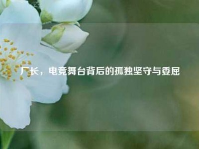 厂长，电竞舞台背后的孤独坚守与委屈