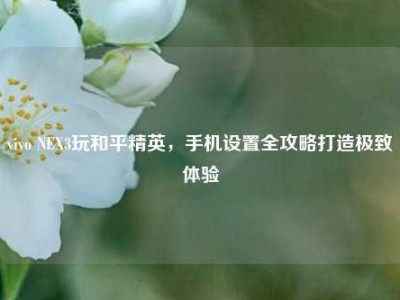 vivo NEX3玩和平精英，手机设置全攻略打造极致体验