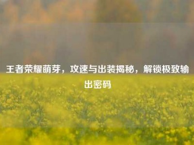王者荣耀萌芽，攻速与出装揭秘，解锁极致输出密码