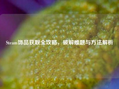 Steam饰品获取全攻略，破解难题与方法解析