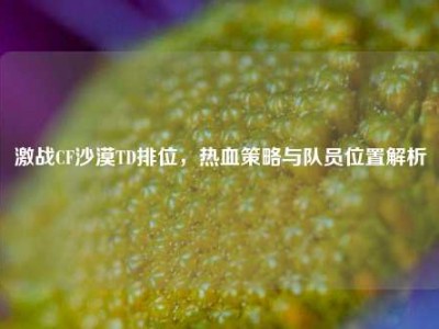 激战CF沙漠TD排位，热血策略与队员位置解析