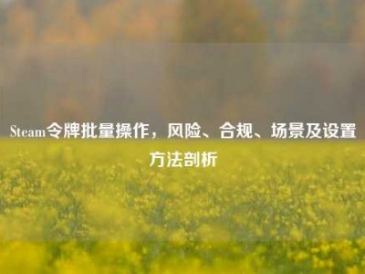 Steam令牌批量操作，风险、合规、场景及设置方法剖析