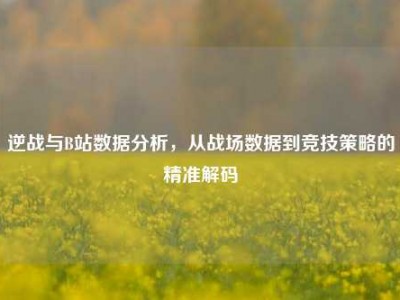 逆战与B站数据分析，从战场数据到竞技策略的精准解码