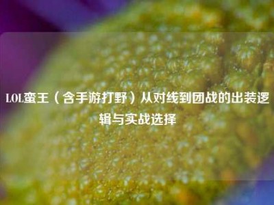 LOL蛮王（含手游打野）从对线到团战的出装逻辑与实战选择