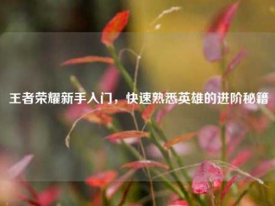 王者荣耀新手入门，快速熟悉英雄的进阶秘籍