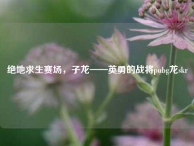 绝地求生赛场，子龙——英勇的战将pubg龙skr