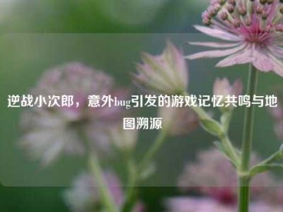逆战小次郎，意外bug引发的游戏记忆共鸣与地图溯源