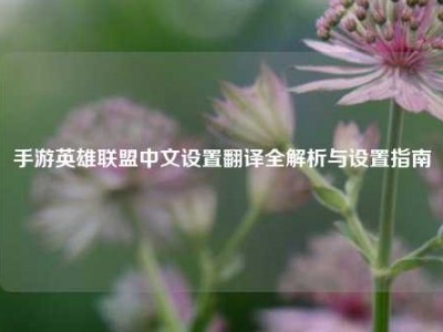手游英雄联盟中文设置翻译全解析与设置指南