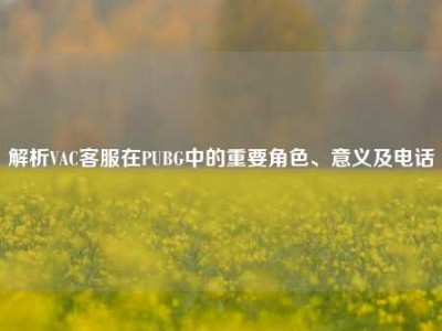解析VAC客服在PUBG中的重要角色、意义及电话