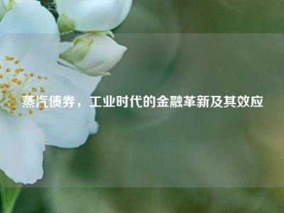 蒸汽债券，工业时代的金融革新及其效应