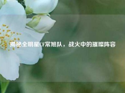 揭秘全明星CF常旭队，战火中的璀璨阵容