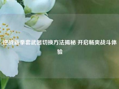 逆战新拳套武器切换方法揭秘 开启畅爽战斗体验