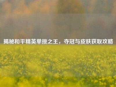 揭秘和平精英单挑之王，夺冠与皮肤获取攻略
