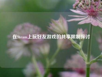 在Steam上玩好友游戏的共享限制探讨