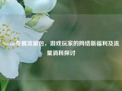 Steam专属流量包，游戏玩家的网络新福利及流量消耗探讨