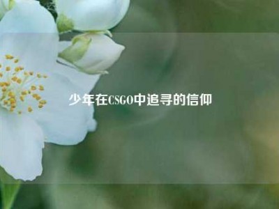 少年在CSGO中追寻的信仰