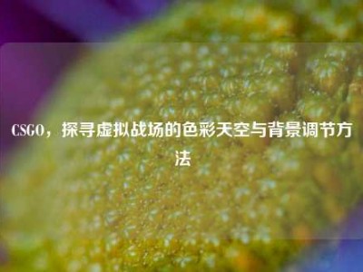CSGO，探寻虚拟战场的色彩天空与背景调节方法