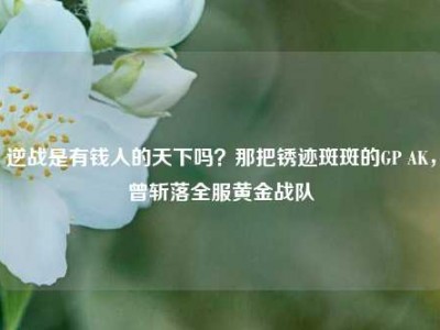 逆战是有钱人的天下吗？那把锈迹斑斑的GP AK，曾斩落全服黄金战队