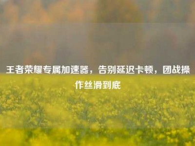 王者荣耀专属加速器，告别延迟卡顿，团战操作丝滑到底