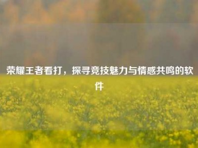 荣耀王者看打，探寻竞技魅力与情感共鸣的软件