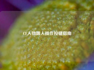 CF人物踢人操作按键指南