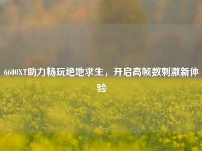 6600XT助力畅玩绝地求生，开启高帧数刺激新体验