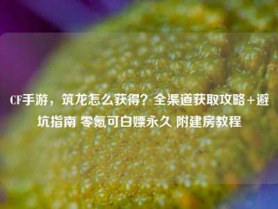 CF手游，筑龙怎么获得？全渠道获取攻略+避坑指南 零氪可白嫖永久 附建房教程