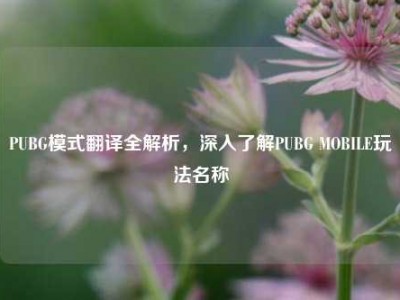 PUBG模式翻译全解析，深入了解PUBG MOBILE玩法名称
