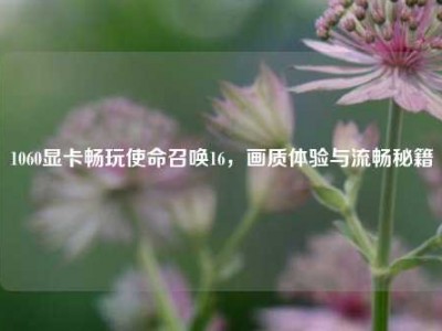 1060显卡畅玩使命召唤16，画质体验与流畅秘籍
