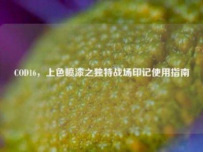 COD16，上色喷漆之独特战场印记使用指南