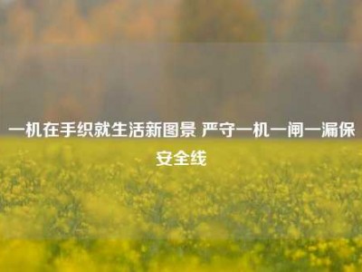 一机在手织就生活新图景 严守一机一闸一漏保安全线