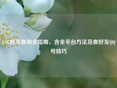 LOL好友查询全指南，含全平台方法及查好友QQ号技巧
