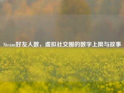 Steam好友人数，虚拟社交圈的数字上限与故事
