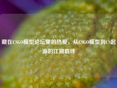 藏在CSGO模型论坛里的热爱，从CSGO模型到CS起源的江湖羁绊