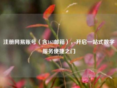 注册网易账号（含163邮箱），开启一站式数字服务便捷之门