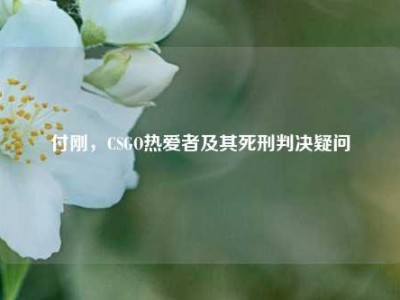 付刚，CSGO热爱者及其死刑判决疑问