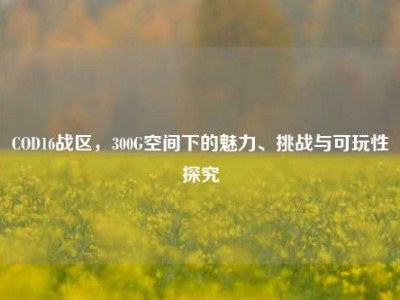 COD16战区，300G空间下的魅力、挑战与可玩性探究