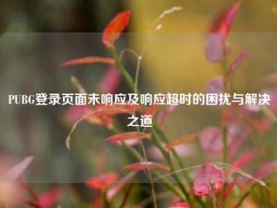 PUBG登录页面未响应及响应超时的困扰与解决之道