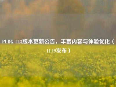 PUBG 11.3版本更新公告，丰富内容与体验优化（11.19发布）