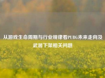 从游戏生命周期与行业规律看PUBG未来走向及武器下架相关问题