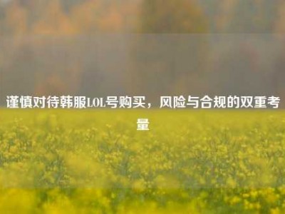 谨慎对待韩服LOL号购买，风险与合规的双重考量