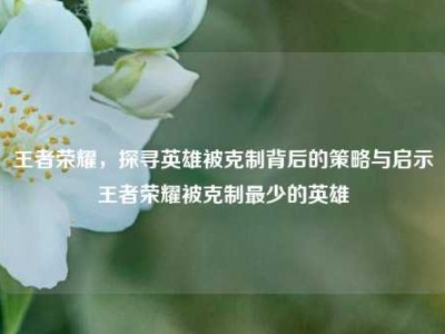 王者荣耀，探寻英雄被克制背后的策略与启示王者荣耀被克制最少的英雄