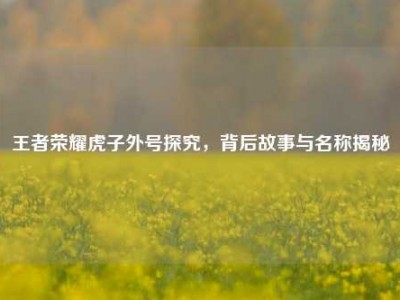 王者荣耀虎子外号探究，背后故事与名称揭秘